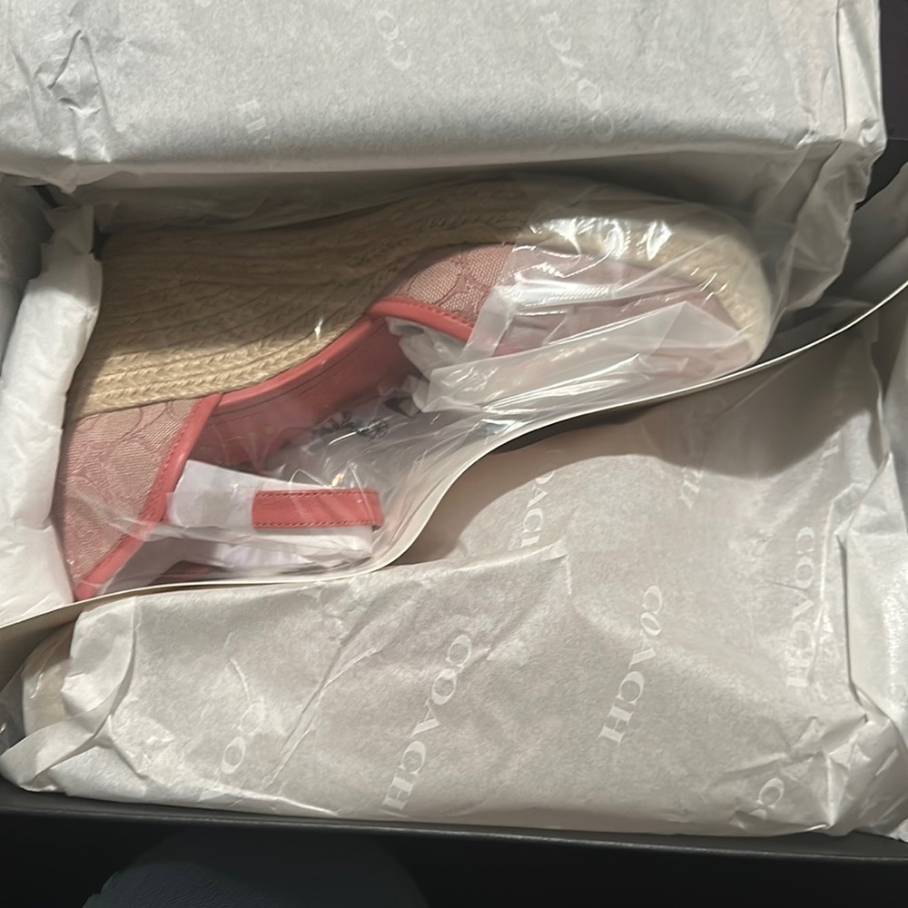 Brand New in Box Raine SIG ESPADRILLE Pink size 11B